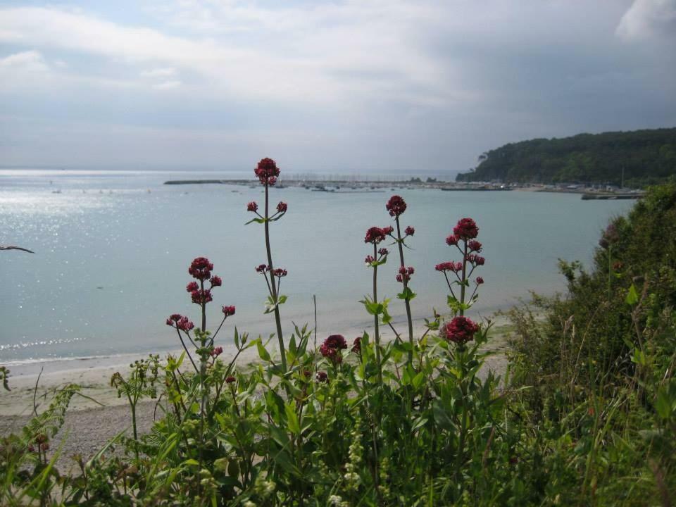 Cap Morgat Chez Jean Lägenhet Crozon Exteriör bild